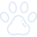 dogi